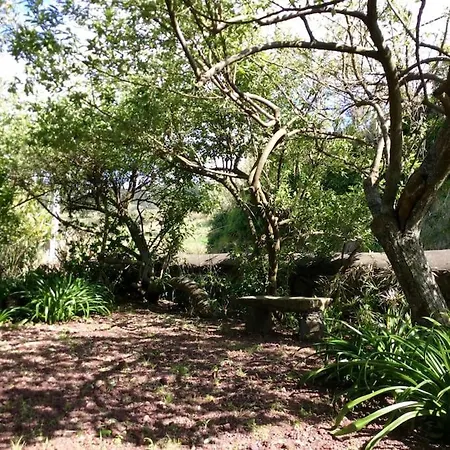 بيت للعطل Casa Da Pedreira موستيروس