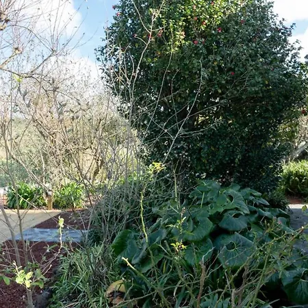 Casa Da Pedreira موستيروس